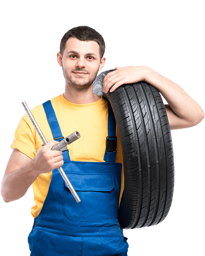 constatari daune rca